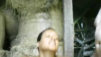pussies and dicks collide in french incestuous rough sex.